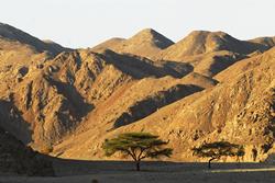 Marsa Alam Fanatic Windsurf & SUP Centre - Red Sea. Wadi El Gemal National Park.